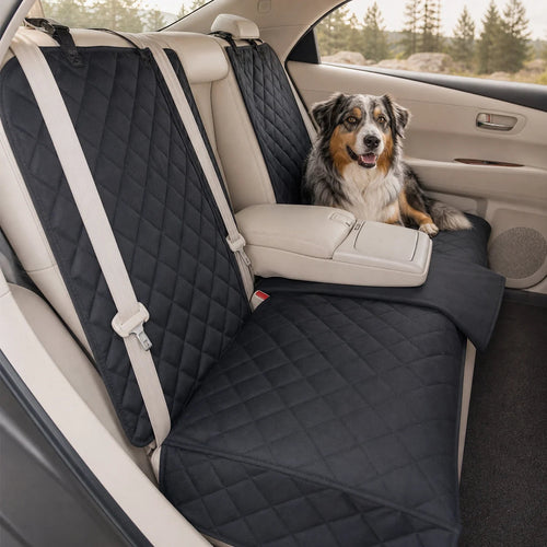 Hund på DogDrive Shield baksetebeskytter i bil
